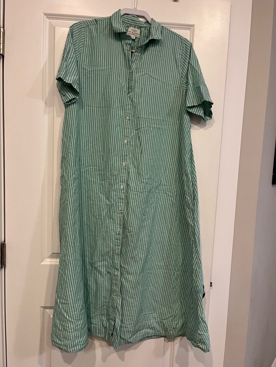 Dresses & Skirts - Trovata green stripe linen dress large shirt maxi